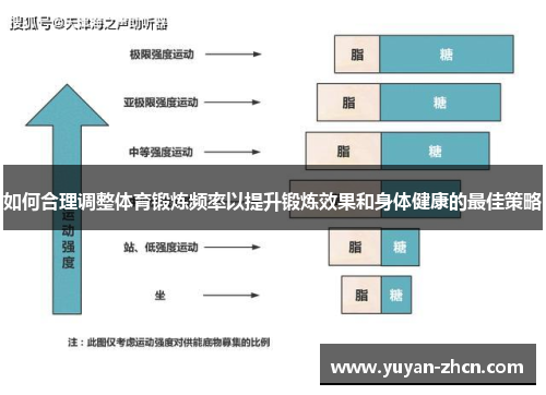 如何合理调整体育锻炼频率以提升锻炼效果和身体健康的最佳策略